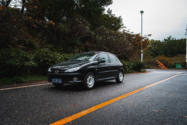 Comment changer le miroir rétroviseur sur Peugeot 206 ?
